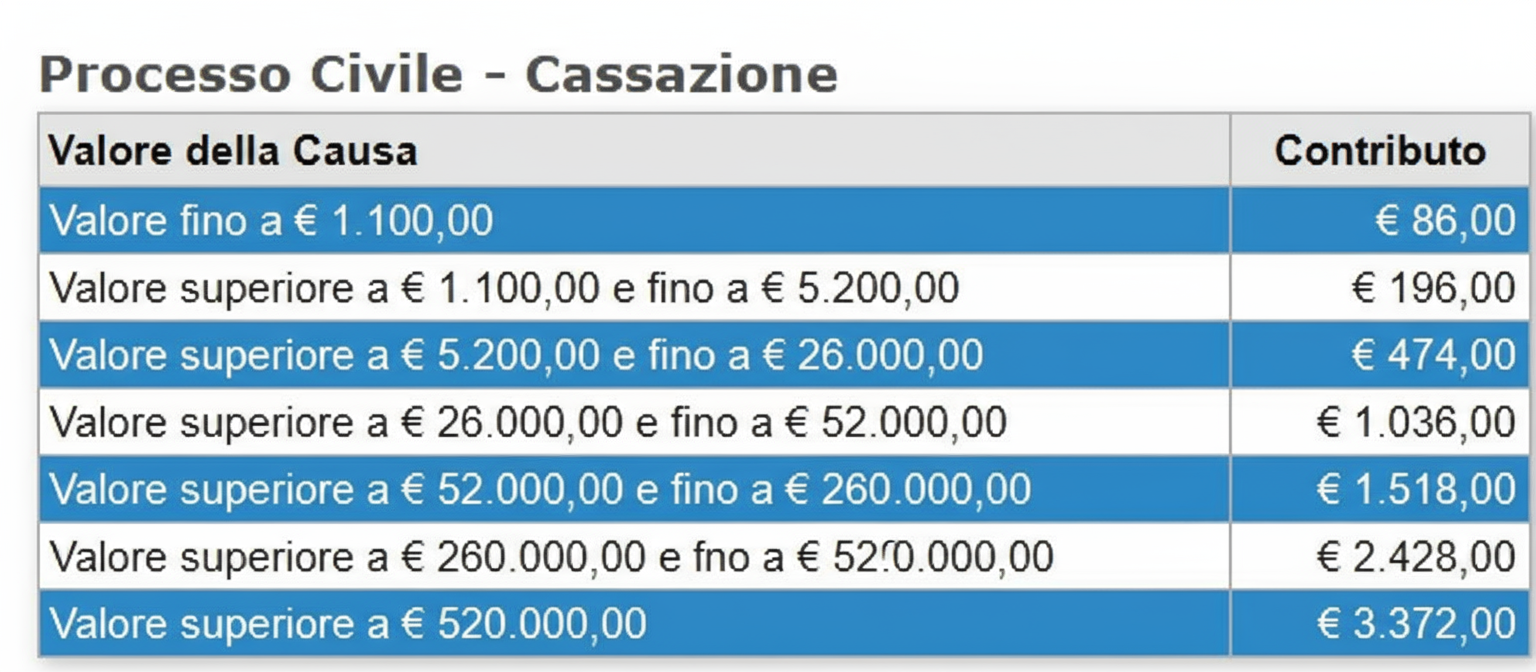 processo civile - cassazione.png